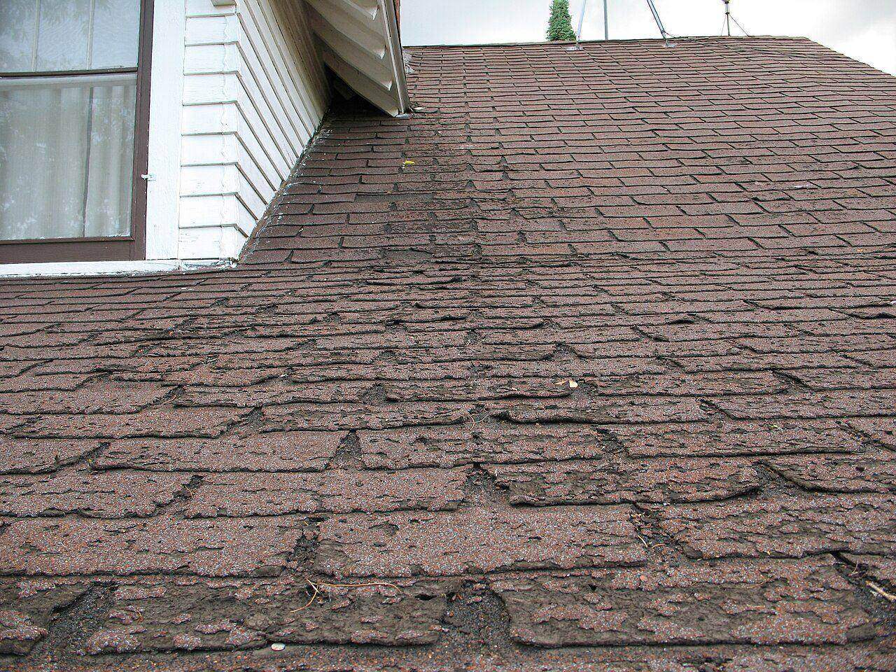 Photo of asphalt shingles showing roof surface and water-shedding pattern