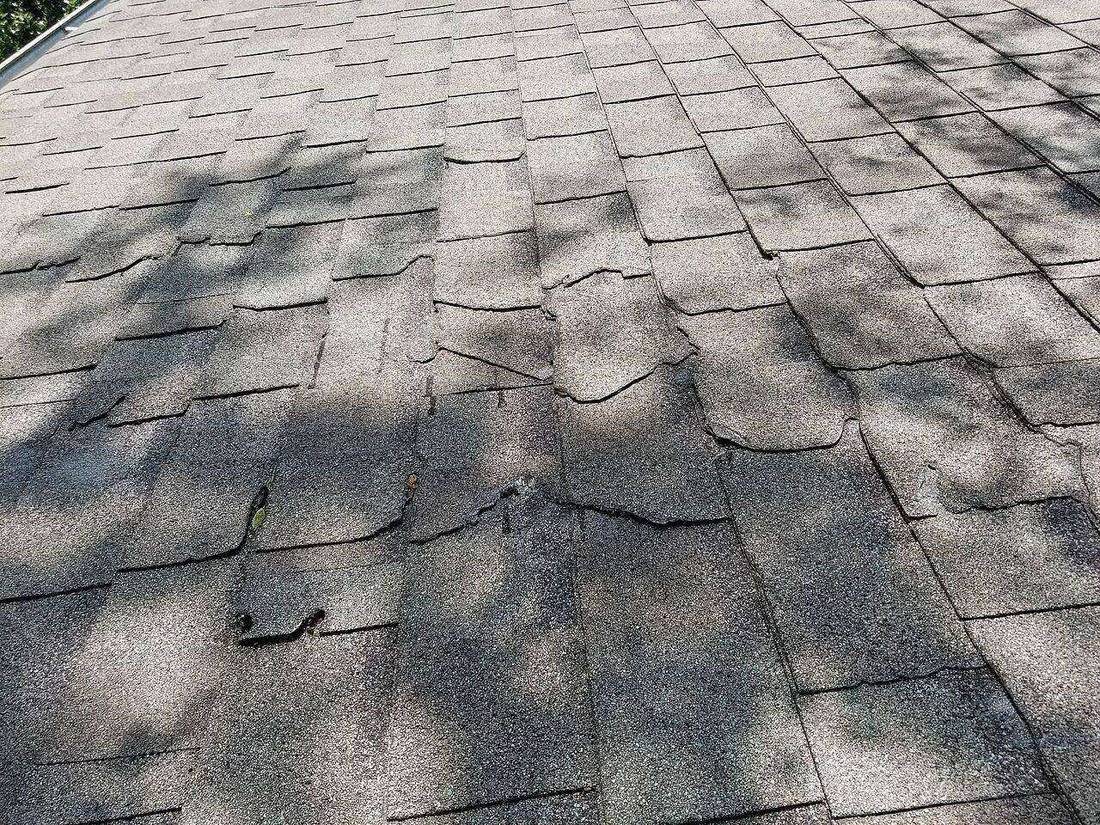 Photo of branch-damaged asphalt shingles after a thunderstorm